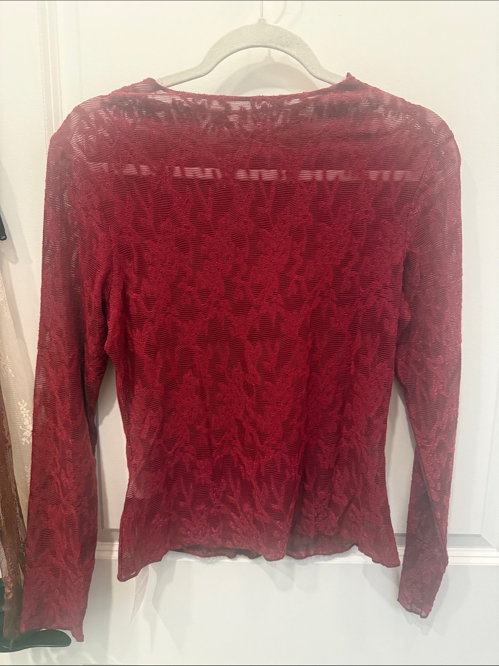 Red Sheer Lace-Effect Long Sleeve Top